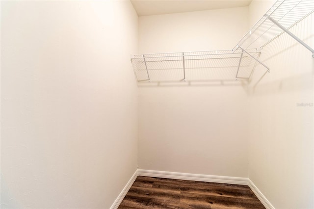 walk in closet featuring dark hardwood / wood-style flooring