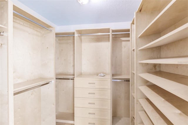 view of spacious closet