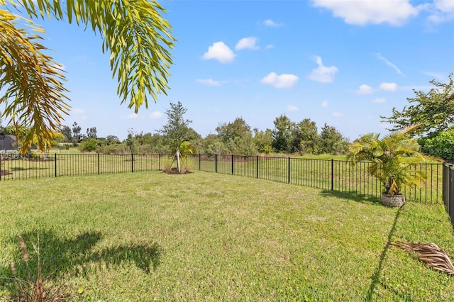 view of yard with a rural view