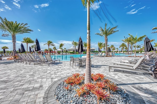 view of swimming pool with a patio