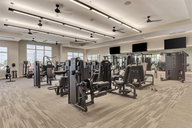 workout area featuring light carpet