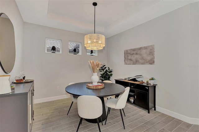 dining room featuring a raised ceiling