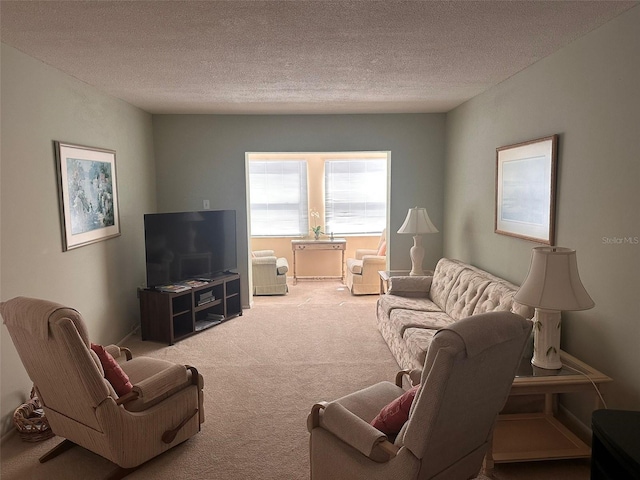 living room with carpet flooring and a textured ceiling