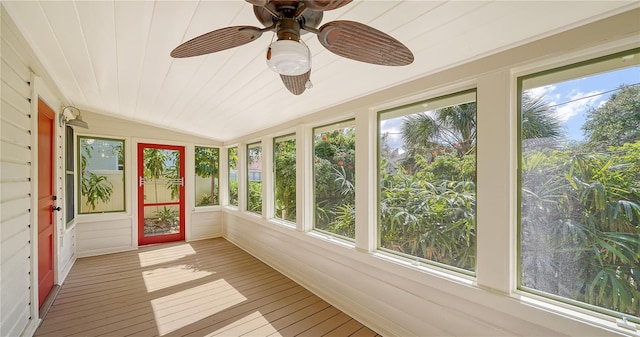 unfurnished sunroom featuring vaulted ceiling, plenty of natural light, and ceiling fan