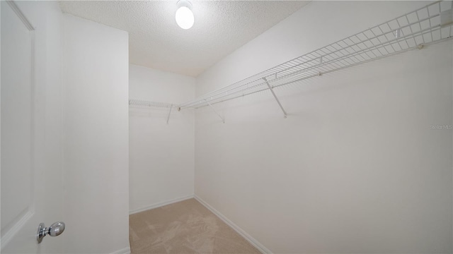 spacious closet featuring light colored carpet