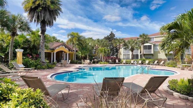 view of swimming pool featuring a patio