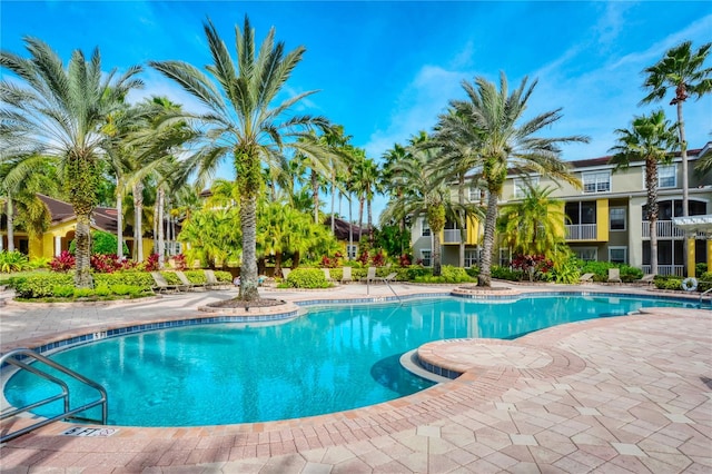 view of swimming pool featuring a patio area