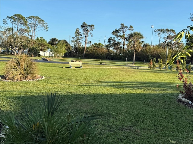 surrounding community with a lawn