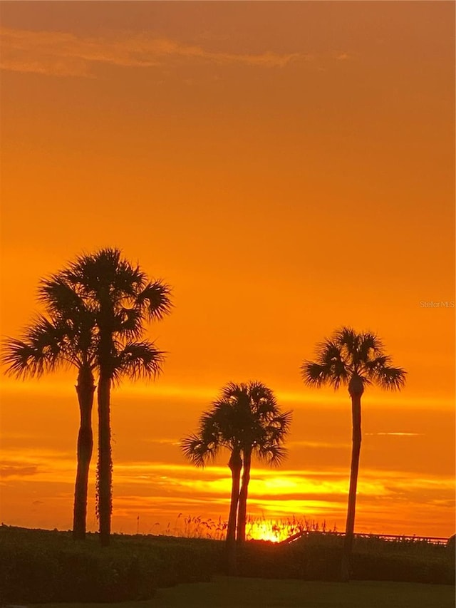 view of nature at dusk