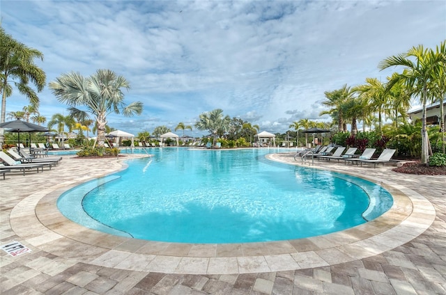 view of swimming pool featuring a patio area