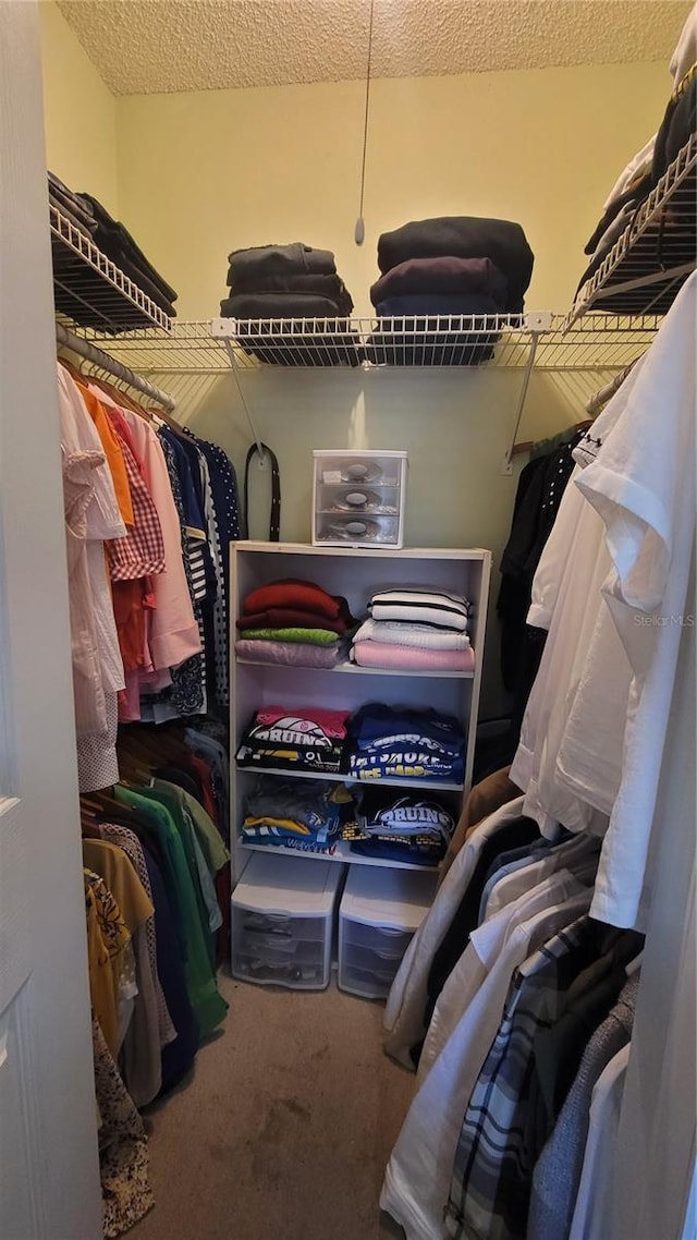 spacious closet with carpet flooring