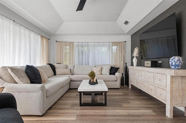 living room featuring a raised ceiling, a wealth of natural light, lofted ceiling, and hardwood / wood-style flooring