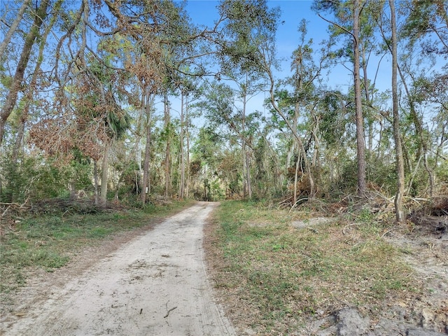 NW Fox Run Rd, Mayo, FL 32066