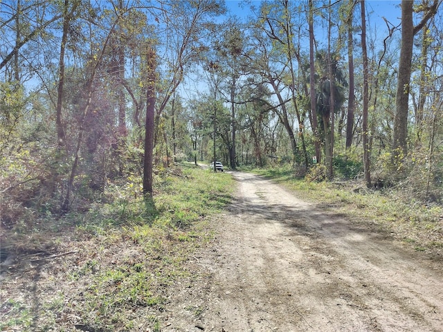 NW Fox Run Rd, Mayo, FL 32066