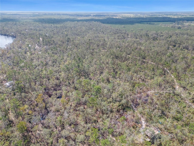 NW Fox Run Rd, Mayo, FL 32066