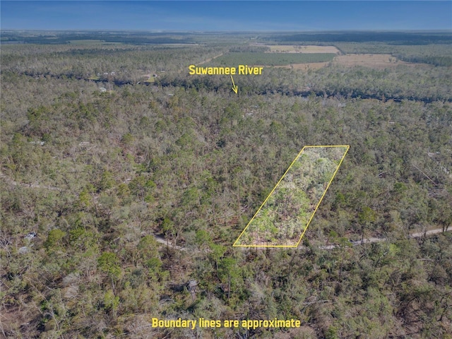 NW Fox Run Rd, Mayo, FL 32066