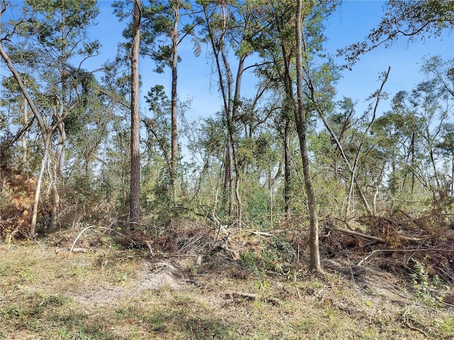 NW Fox Run Rd, Mayo, FL 32066