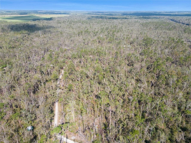 NW Fox Run Rd, Mayo, FL 32066