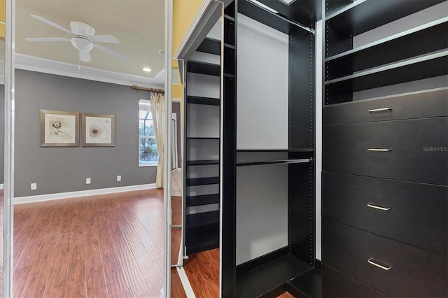 spacious closet with ceiling fan and hardwood / wood-style floors