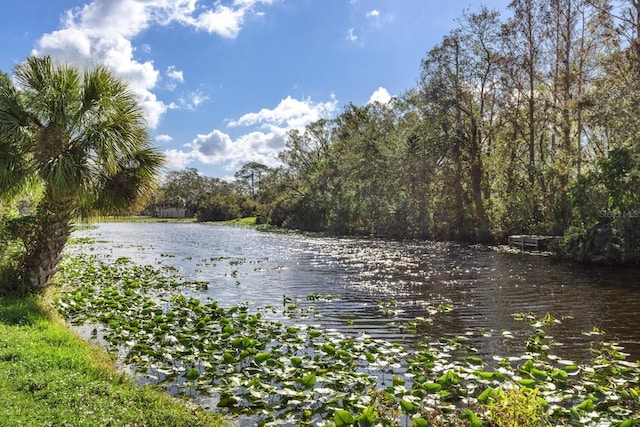 property view of water