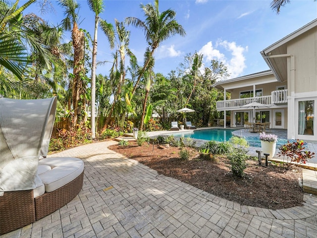 view of pool featuring a patio