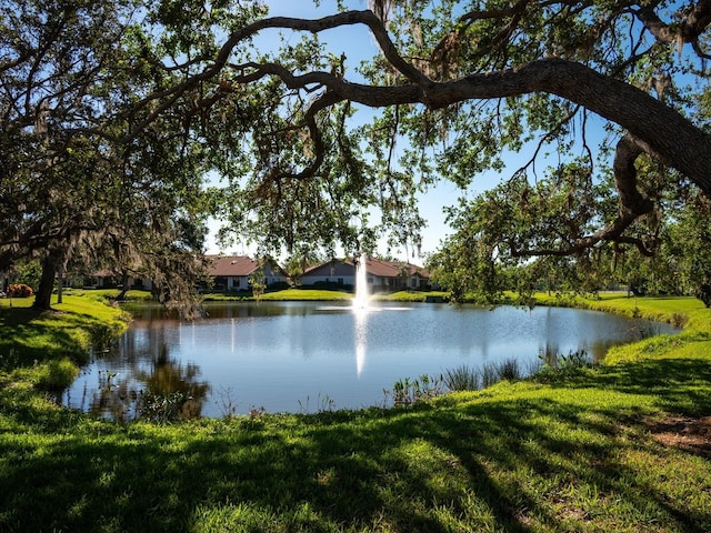 view of water feature