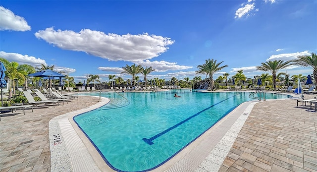 view of swimming pool with a patio