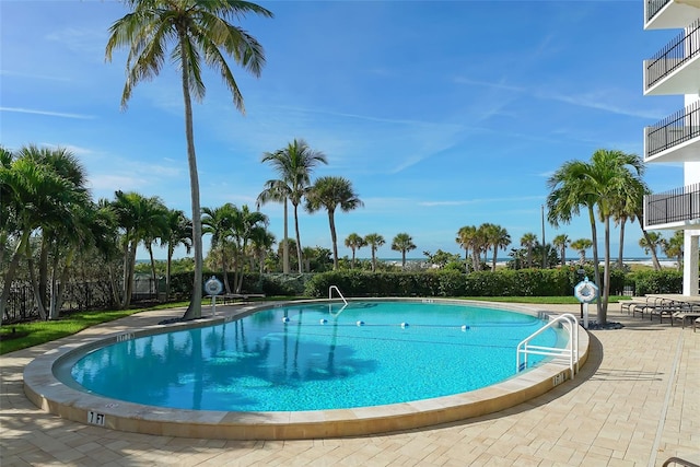 view of pool with a patio area