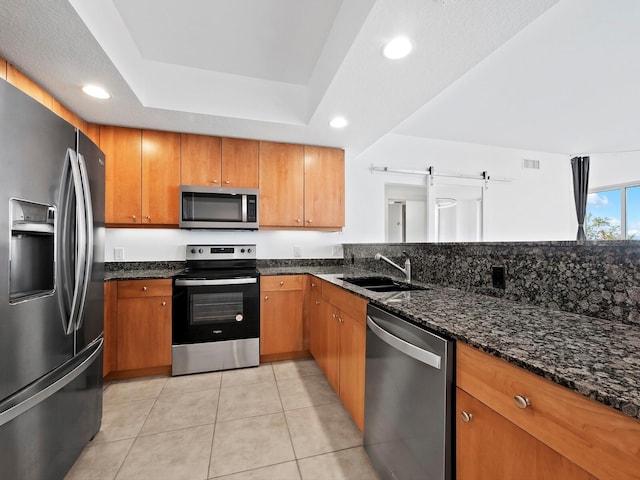 kitchen with dark stone counters, a raised ceiling, sink, and stainless steel appliances