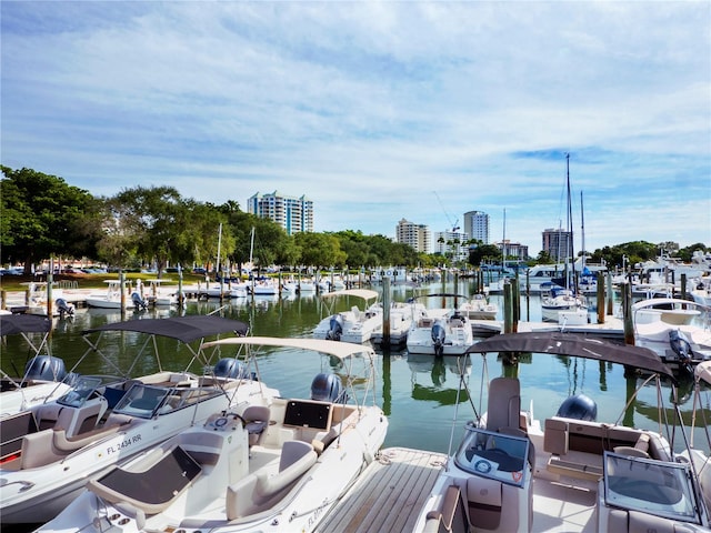 dock area featuring a water view