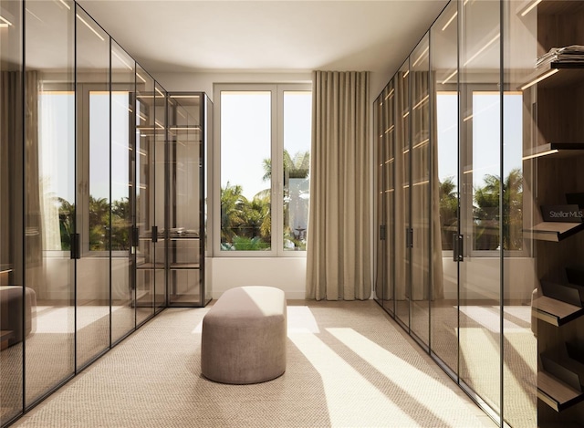 interior space featuring french doors and light colored carpet