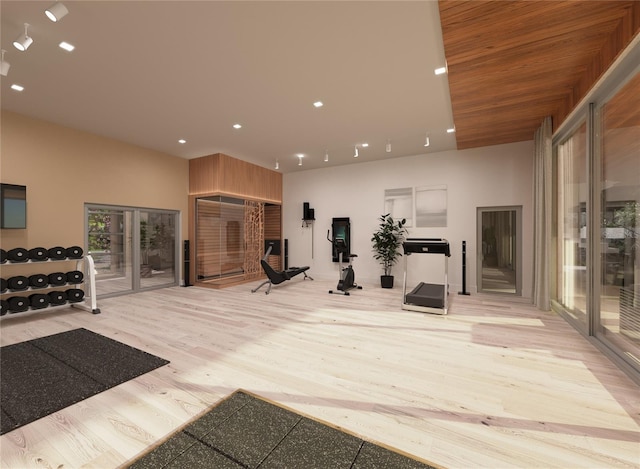 workout area with light hardwood / wood-style floors