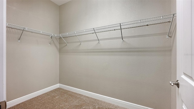 walk in closet with carpet