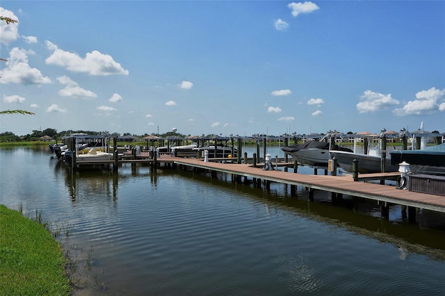 dock area with a water view