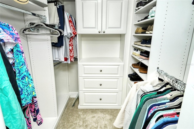 walk in closet with light colored carpet