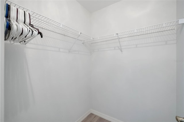 walk in closet with hardwood / wood-style floors