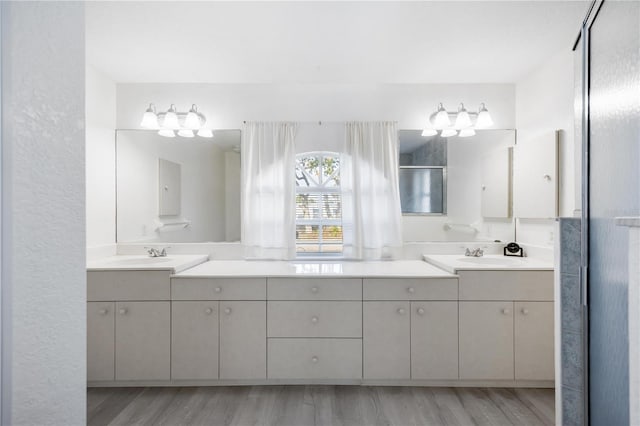 bathroom featuring vanity and hardwood / wood-style floors