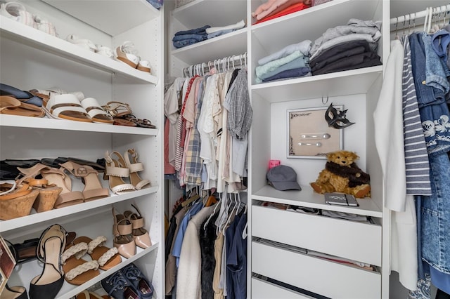 view of spacious closet