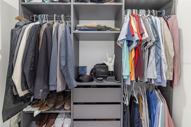 view of spacious closet