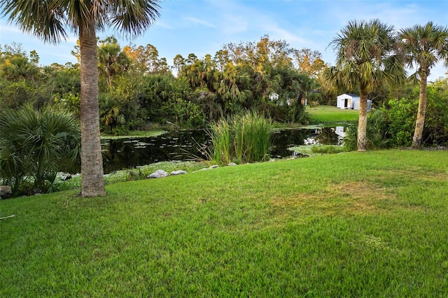 view of yard with a water view and a shed