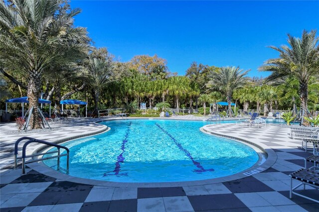 view of pool with a patio area