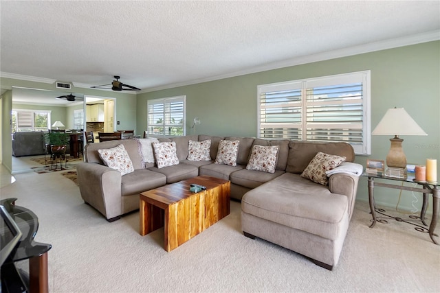 carpeted living room with plenty of natural light, ornamental molding, and a textured ceiling