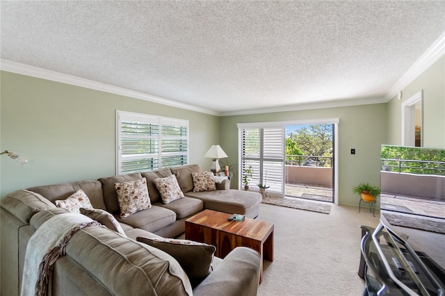 living room with crown molding, light colored carpet, and a textured ceiling