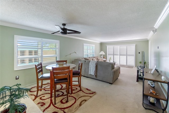 carpeted living room with crown molding, ceiling fan, and a textured ceiling