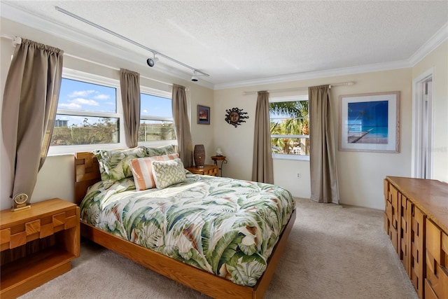 carpeted bedroom with multiple windows, crown molding, track lighting, and a textured ceiling