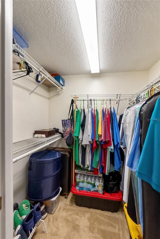 walk in closet featuring carpet