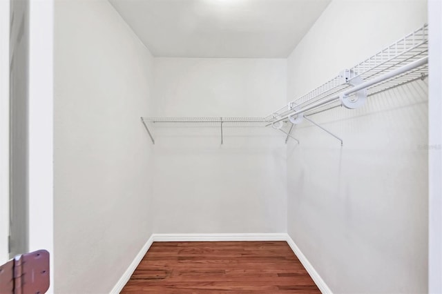 walk in closet featuring hardwood / wood-style floors