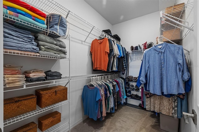 walk in closet featuring carpet floors