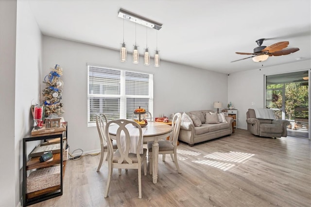 dining space with ceiling fan and light hardwood / wood-style floors