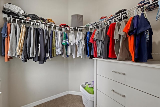 walk in closet with carpet